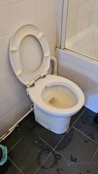  verstopping toilet Vinkeveen